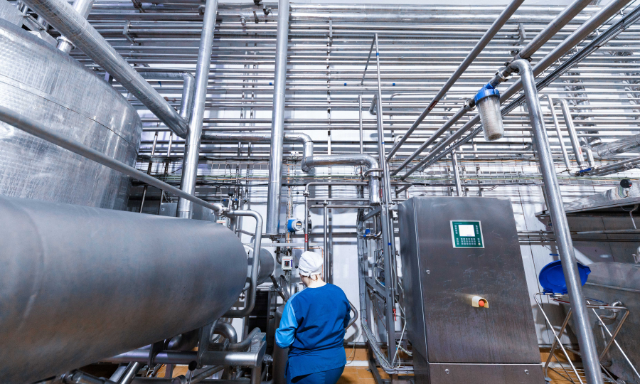 Gypjak milk and milk products factory